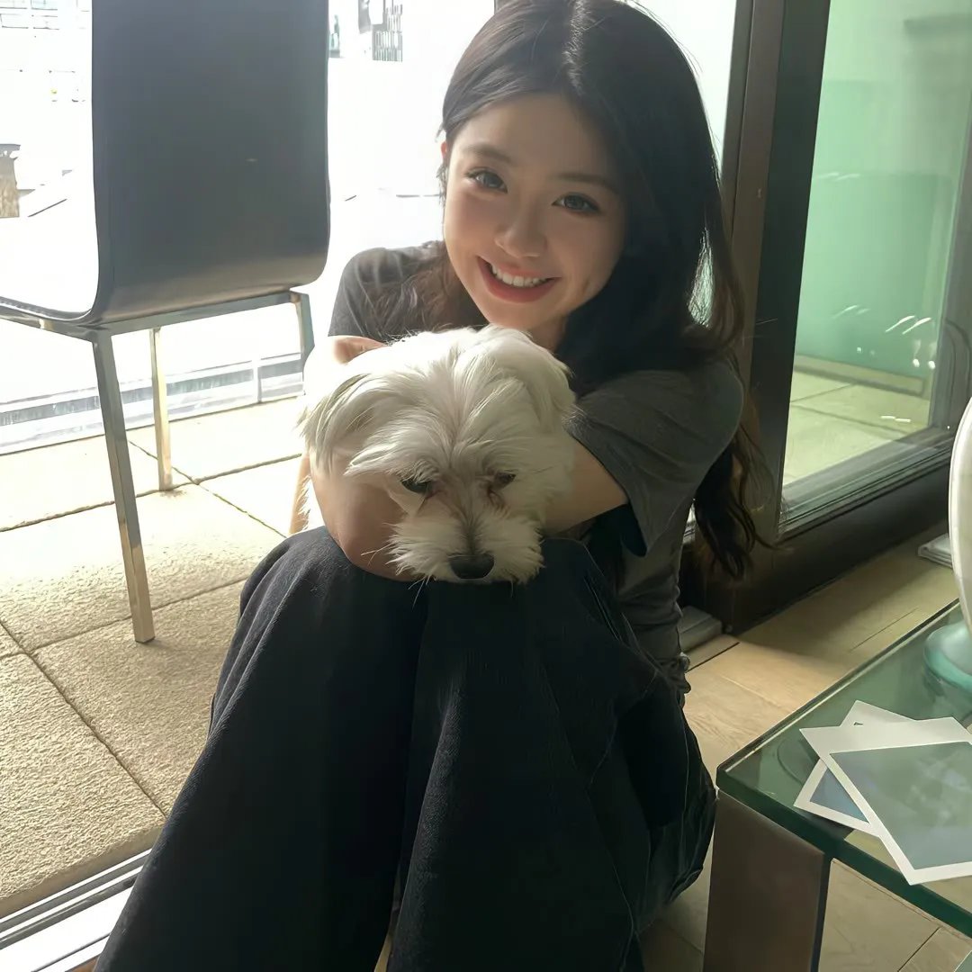 白狼